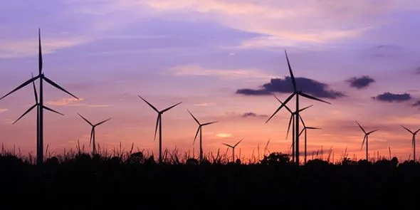 Danes  leap into booming Texas wind market