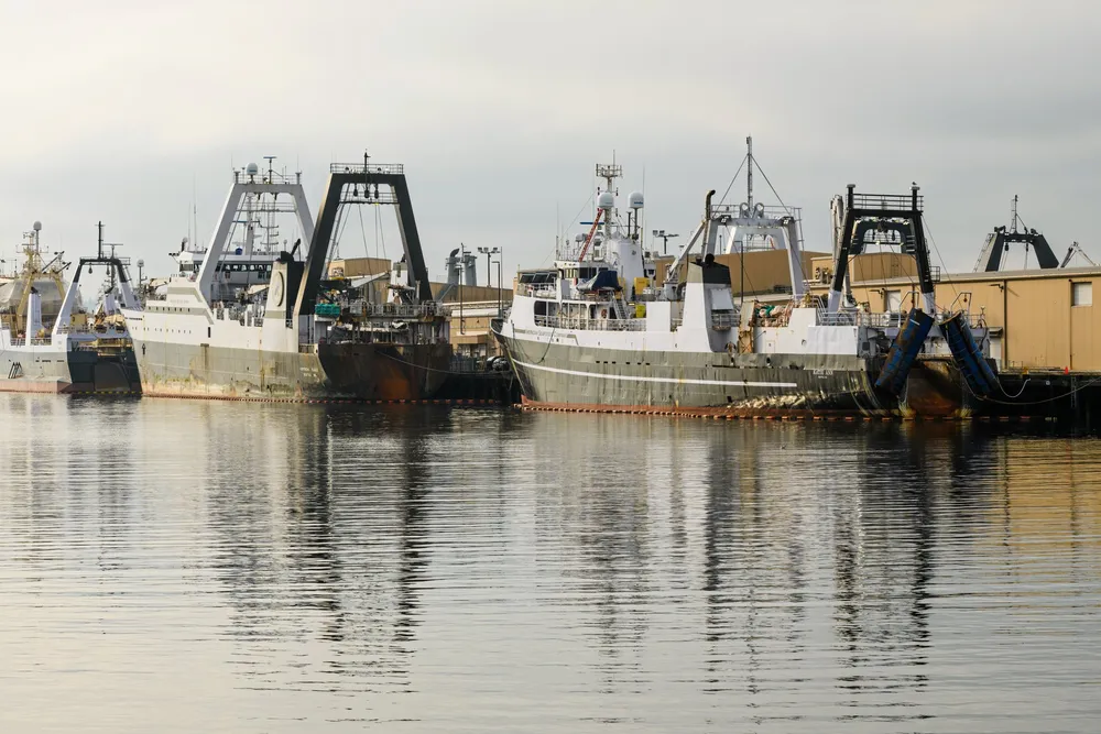 The Alaska pollock industry is in Seattle for a major whitefish event.