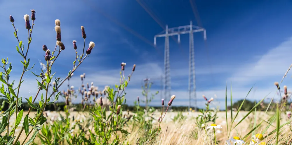 Strømprisene faller frem til sommeren. Volue Insight spår en pris på rundt 30 øre/kWh over nærmest hele landet i sommer.