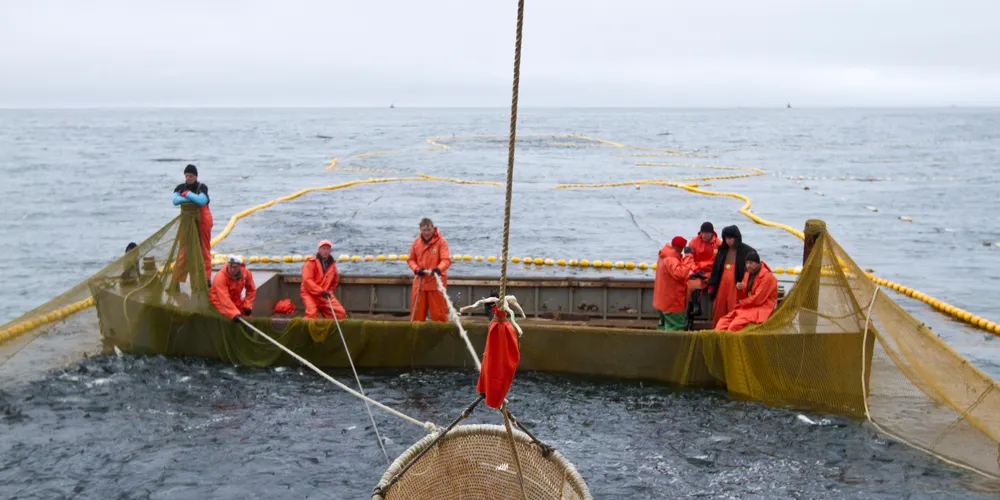 Photo creidt: Wild Salmon Center - Mihael Blikshteyn
