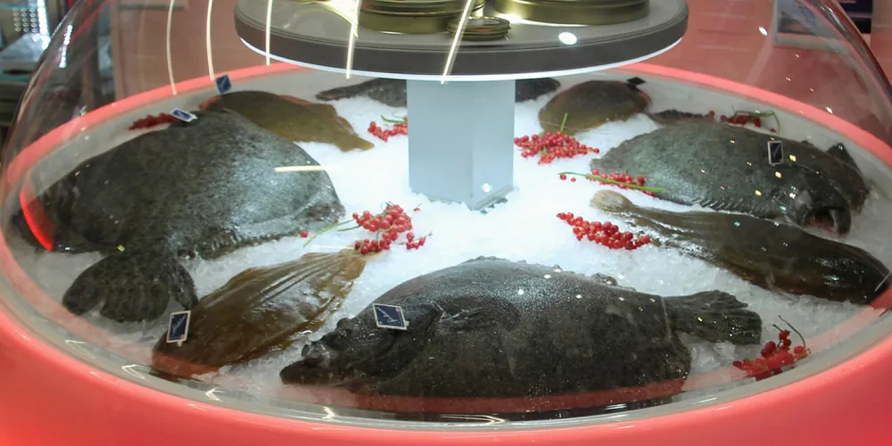 Stolt Sea Farm's sole and turbot on display at the Brussels seafood show.