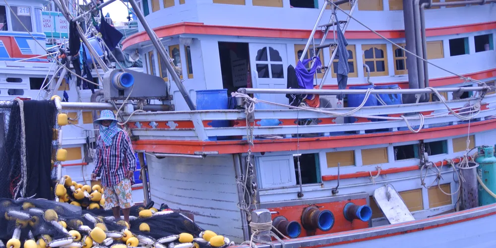 Seafood CEOs urged to stand up against slavery at Guardian/Seafish panel
