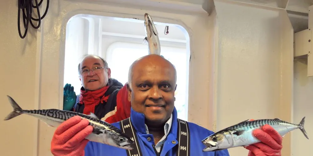 Forskerne Valantine Anthonypillai (nærmest) og Julio Erices sier seg godt fornøyd med både stor makrell og store prøvetrålhal langt nord i Norskehavet. Foto: Havforskningsinstituttet / Leif Nøttestad
