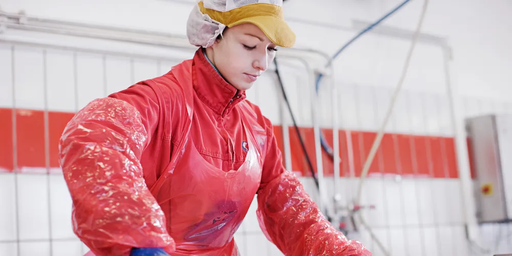 Low prices see salmon sales volumes defy eurozone crisis