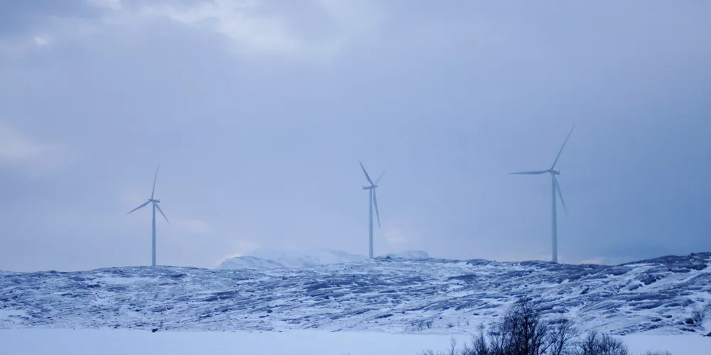 Trailertrøbbel for vindkraft til fjells