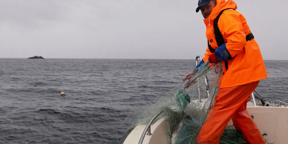 Rune Somby i Statens naturoppsyn beslaglegger stadig ulovlige garn i Troms og Finnmark.