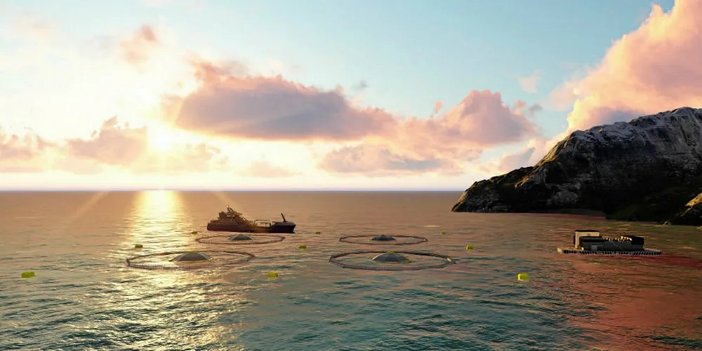 Norwegian subsea project could prevent algae bloom die-offs