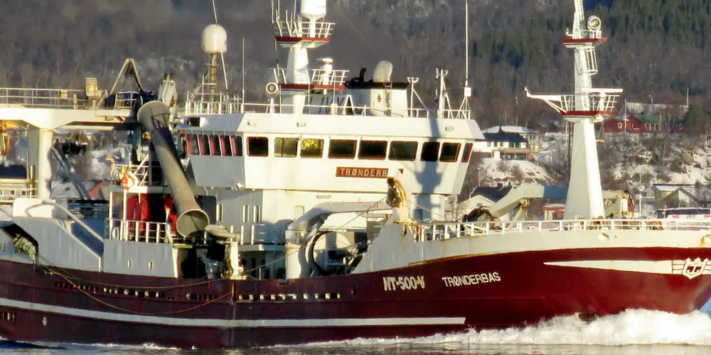 DOBBEL BRISLING: «Trønderbas» fikk inndratt brislingfangst og klarsignal for å fiske den inndratte fangsten en gang til.