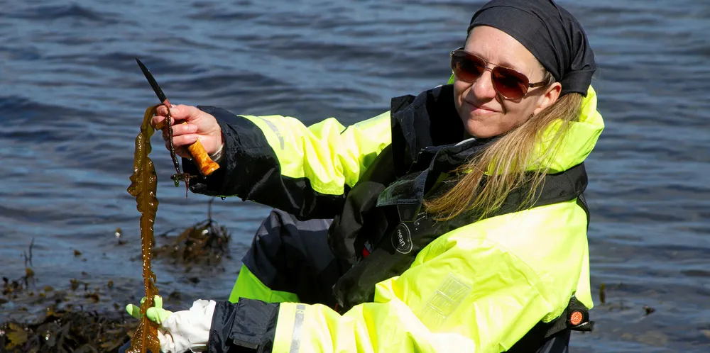 Margarita Novoa-Garrido er førsteamanuensis ved Fakultet for biovitenskap og akvakultur ved Nord universitet i Bodø.