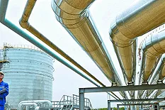 Chad 'fines CNPC $1.2bn for violations'