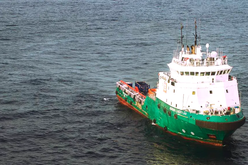 Released: crew who were taken from the Bourbon Liberty 251 (Pictured: Bourbon Liberty 249)