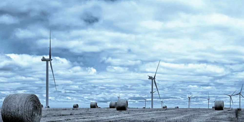 Queensland 400MW RE auction attracts over 200 companies