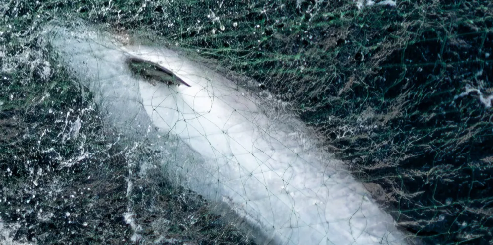Sjøtjenesten dro opp «spøkelsesgarn» på et fiskefelt i Troms i fjor.
