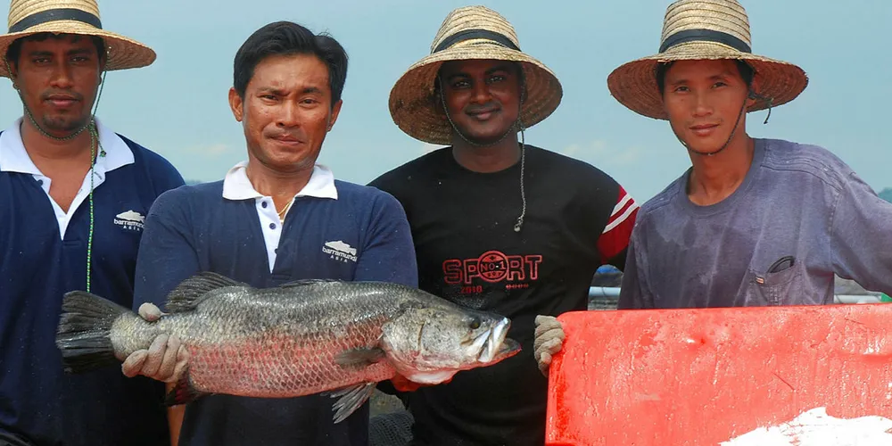 The team at Barramundi Asia.