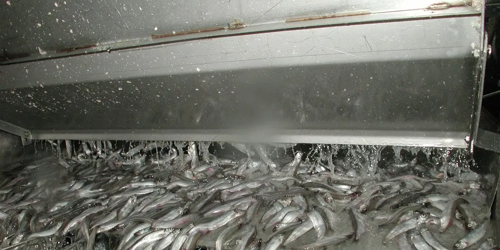 Illustrasjonsfoto: Geir Bjørn Nilsen