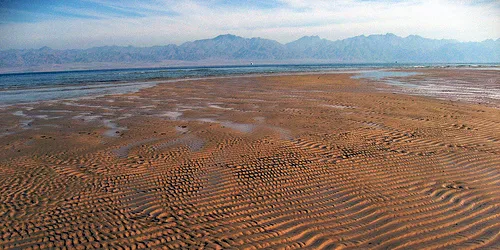 Egypt's eastern coast boasts strong and consistent wind resources.