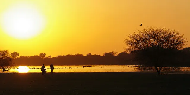 SunEdison switches on 25MW of PV capacity in Gujarat