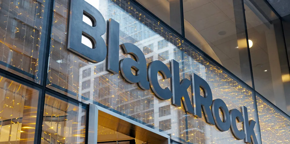 BlackRock is engaged in a process with potential buyers for its 45% stake in GasLog.