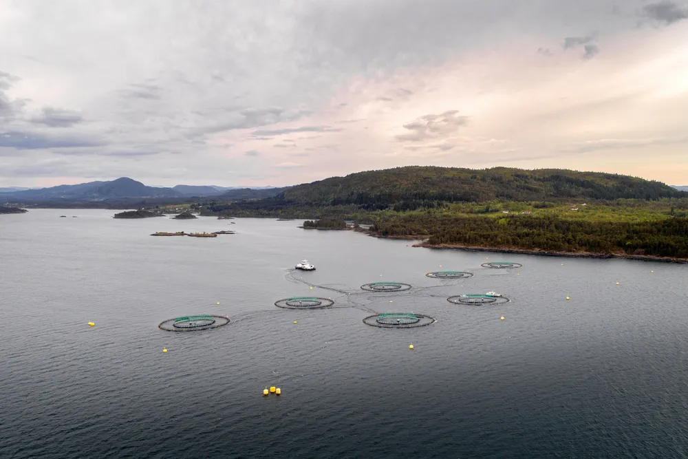En av Eide Fjordbruks lokaliteter.