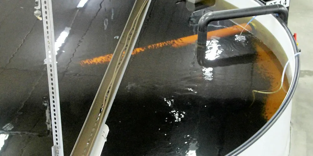 Akva agrees to supply Cooke's Chile smolt projects