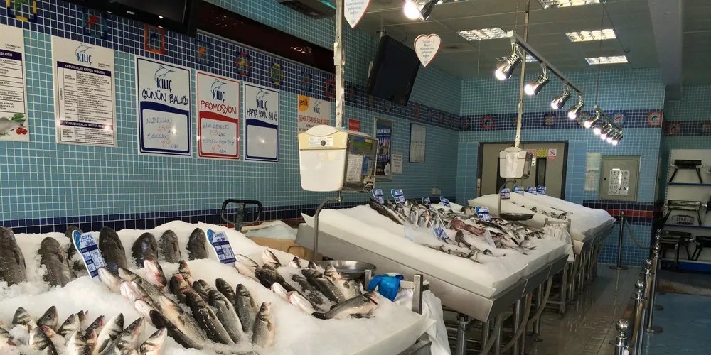 Kilic looks to export 500 metric tons of bluefin tuna in 2015