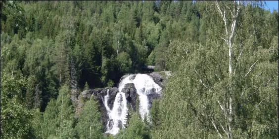 Ny nettsjef i Valdres
