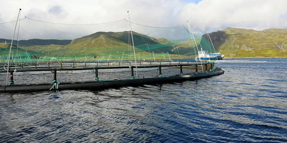 En av merdene til Grieg Seafood Finnmark