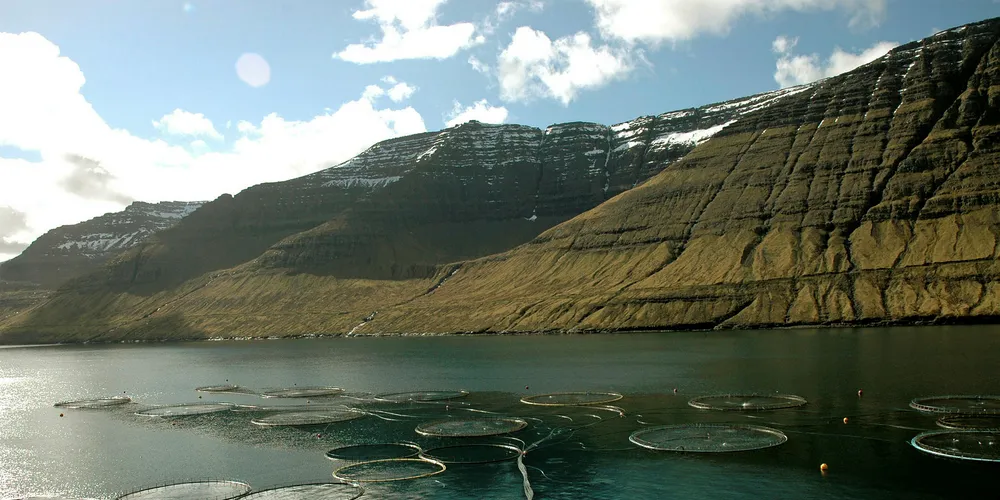 A Bakkafrost salmon farming site.