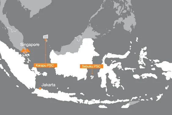 Indonesia deal: Japex to join Mubadala at Kepaku block