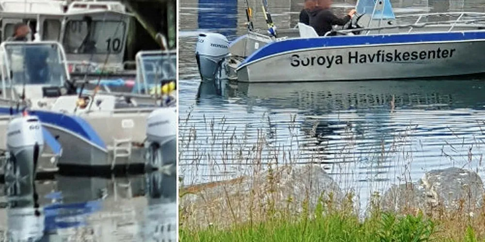 DUMPER AVFALL: Disse bildene viser turistfisker, fra Sørøya Havfiskesenter, som kaster slog og avskjær etter filetering, rett utenfor havna i Breivikvotn.