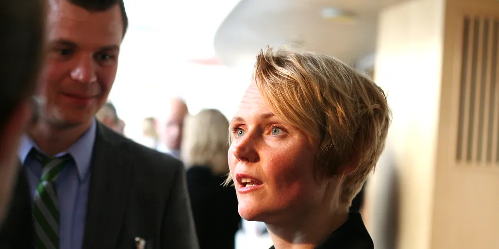 Anna-Karin Hatt ny energiminister