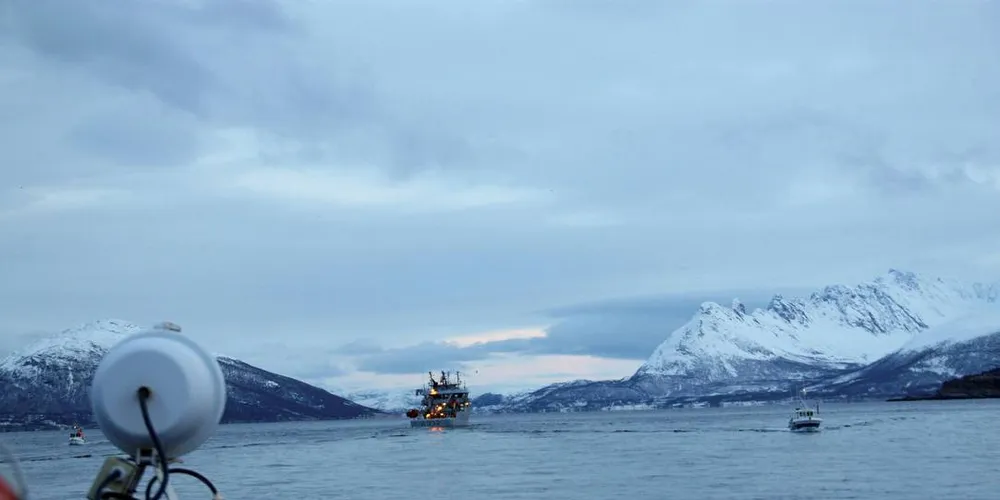 OPPSYN: Faren for bifangst av torsk og sei, samt undermålssild, gjorde at forvaltningen var avventende til å åpne opp mer i Kvænangen.Foto: Torhild Måkestad Martinussen