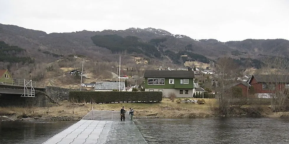 Først i Europa: Laksefella vart montert i byrjinga av april. Foto: Havforskningsinstituttet.