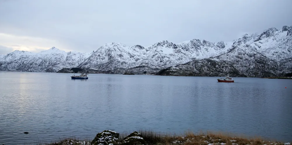 «Trønderhav» og «Topas» på jakt etter sild i Steinlandsfjorden i Øksnes i januar i år.