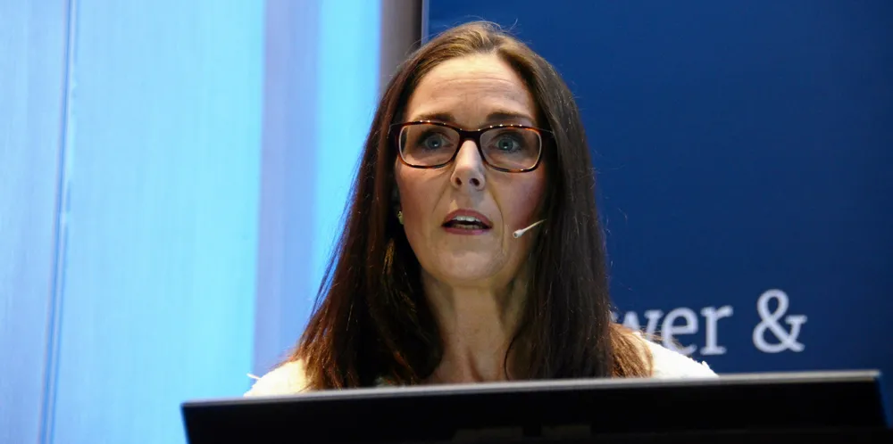 Kari Skeidsvoll Moe i Aneo advarer om at investeringskostnadene kan bli langt høyere enn offentlige utredninger legger til grunn.