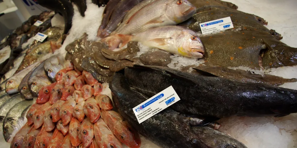 US, EU industry call for clearer European labeling rules