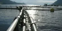 Fall in sales of aquaculture equipment, services