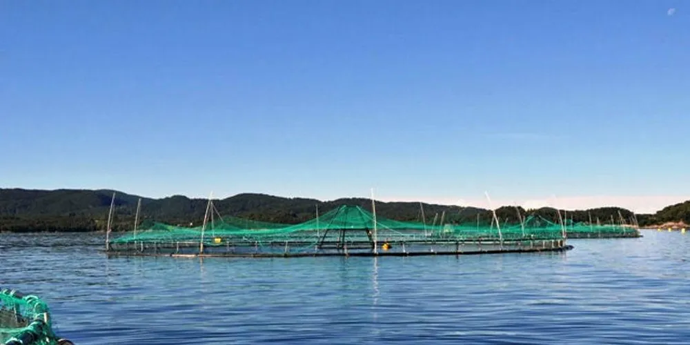 Fiskeridirektoratet skal sjekke at alle flytende anlegg har gyldig anleggsertifikat. (Illustrasjonsbilde)Foto: Vegard Solsletten