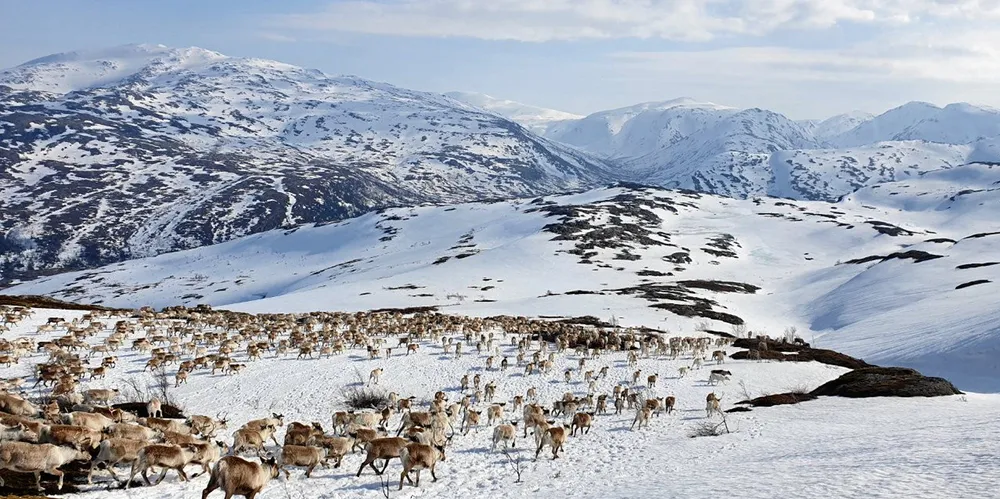 NVE har sagt ja til utsatt oppstart av Øyfjellet vindkraftverk. Rødt mener det ikke er anledning til dette, mens Olje- og energiministeren mener det er vanskelig å si nei til utsettelse på bakgrunn av «force majeure».