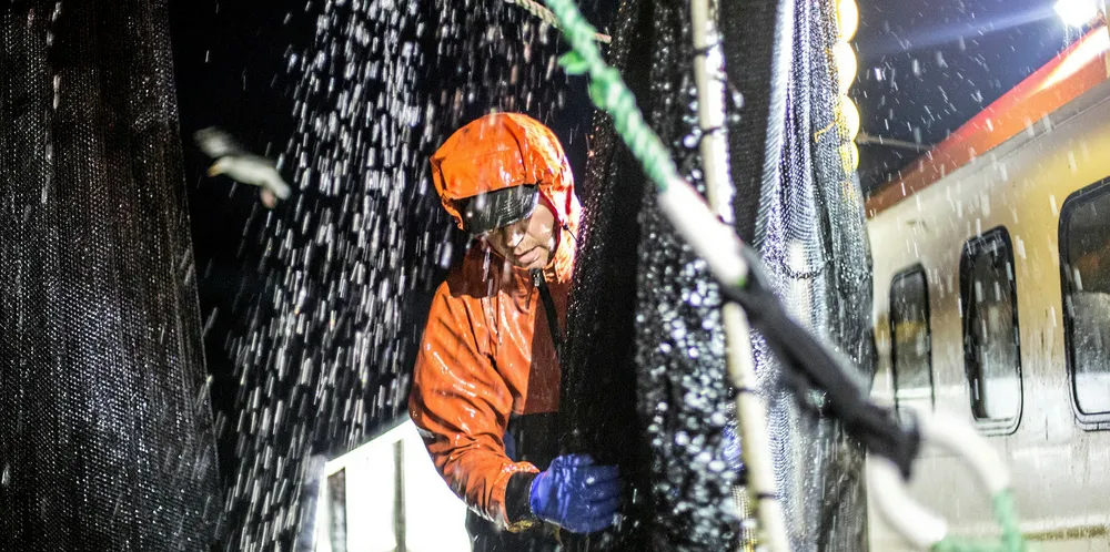 UK-based Ocean Fish plans for expansion over the next year.