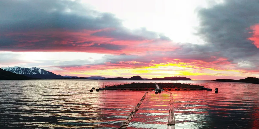 A new dawn for Chilean salmon sector in 2016?