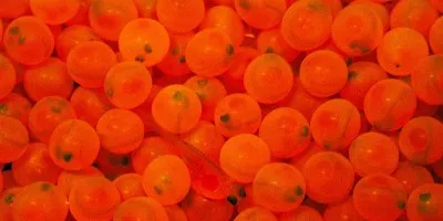 Marine Harvest importerer rogn fra Irland