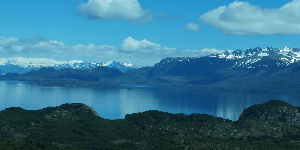 Chile's algal bloom crisis: Who's insured, who's not?