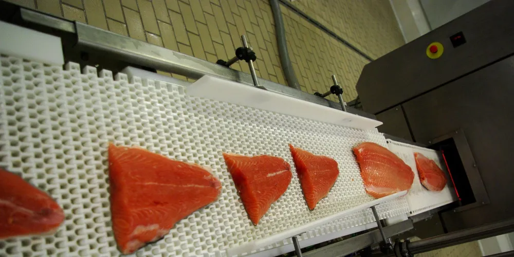 Norway salmon producers double profits