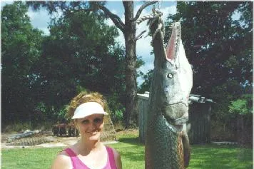 End of the road: for this monster garfish