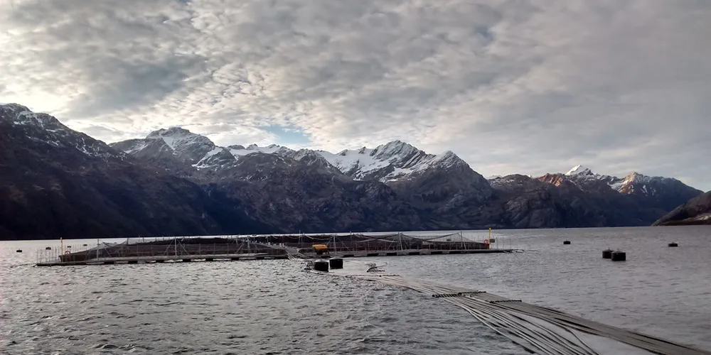 Nova Austral resumes salmon smolt transfers after toxic algae clears