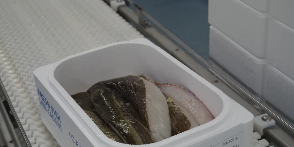Photo: IntraFish