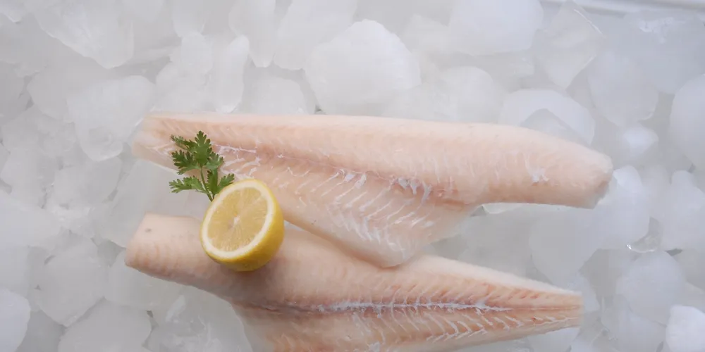 Ocean Trawlers opening new plant in Murmansk