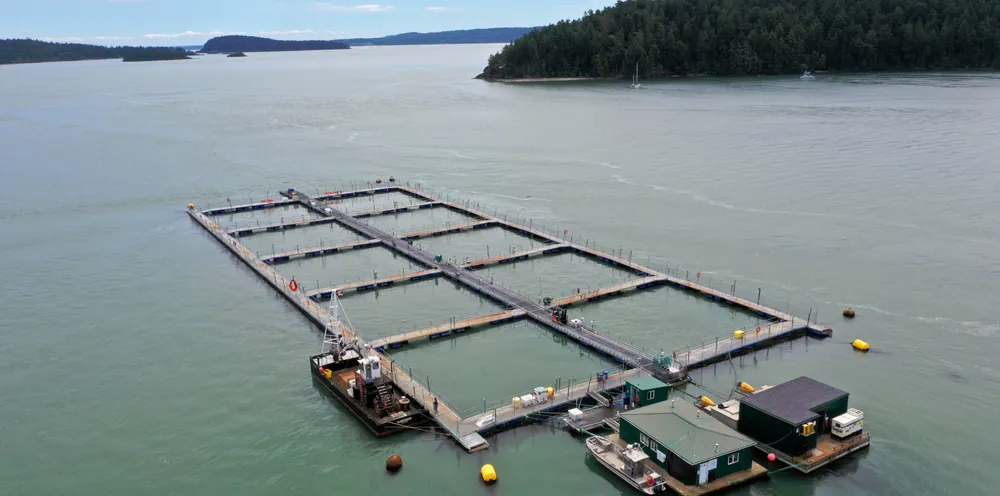 Washington State Commissioner of Public Lands Hilary Franz celebrated the rejected license renewals in a press release Monday. She also over saw the dismantling of Cooke's Cypress Island farm in 2017 following a netpen collapse.