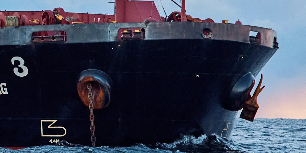 The bulker carrier Yi Peng 3 is seen off Grenaa in Jutland, Denmark, in November.